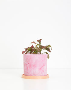 Pink & Peach Plant Pot