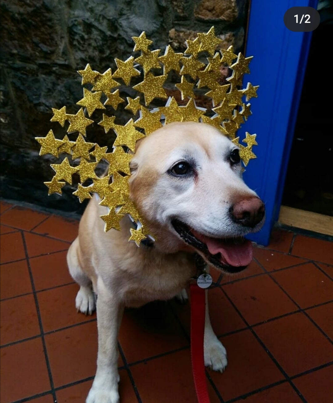 Reversable Star Crown